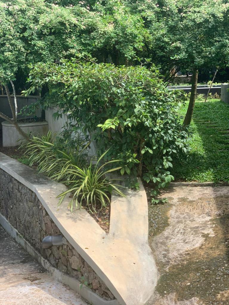 Villa Peace Heaven 갈레 외부 사진